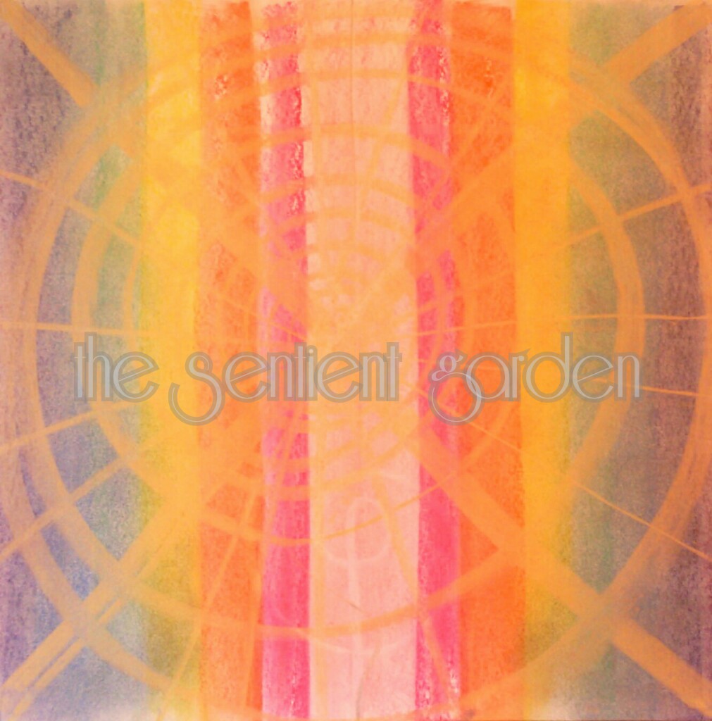 IMG_20170119_133959_wm